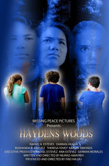 Poster de la película Haydens Woods