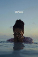 Poster de la película Seahorse