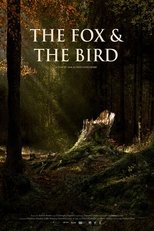 Poster de la película The Fox & the Bird