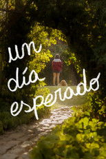 Poster de la película A Desired Day