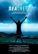 Poster de la película The Seacrets