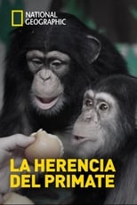 Poster de la película The Human Ape