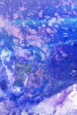 Poster de la película L'ocelle mare