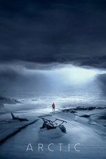 Poster de la película Arctic