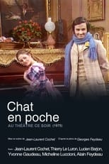 Poster de la película Chat en poche