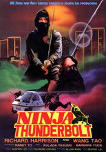 Poster de la película Ninja Thunderbolt
