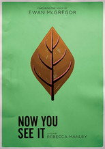 Poster de la película Now You See It