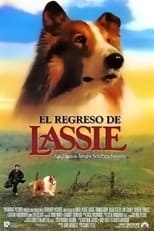 Poster de la película El regreso de Lassie