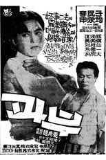 Poster de la película A Widow