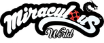 Logo "Miraculous: Tales of Ladybug & Cat Noir" Miraculous World: Shanghai, la légende de Ladydragon