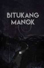 Poster de la película Bitukang Manok