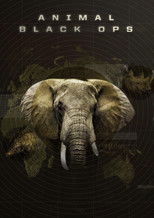 Poster de la serie Animal Black Ops