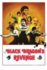 Poster de la película Black Dragon's Revenge