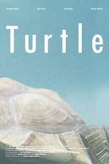 Poster de la película Turtle