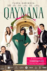 Poster de la película The Mother-in-Law