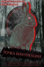 Poster de la película Point Of Bifurcation