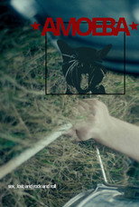 Poster de la película Amoeba