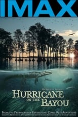 Poster de la película Hurricane on the Bayou