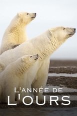 Poster de la película L'Année de l'ours