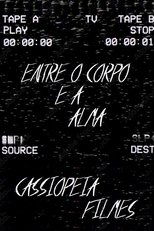 Poster de la película The last VHS