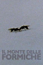 Poster de la película The Mount of Ants