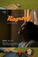 Poster de la película Ringroad