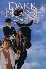 Poster de la película Dark Horse