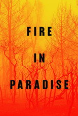 Poster de la película Fire in Paradise