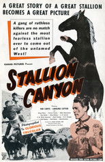 Poster de la película Stallion Canyon