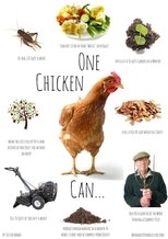 Poster de la película Permaculture Chickens