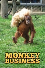 Poster de la serie Monkey Business