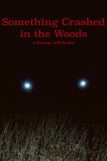 Poster de la película Something Crashed in the Woods