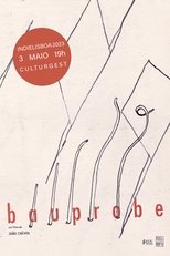 Poster de la película BAUPROBE