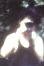 Poster de la película Afterimage Of Summer