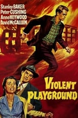 Poster de la película Violent Playground