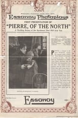 Poster de la película Pierre, of the North