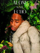Poster de la película Alone in the Echo