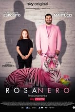 Poster de la película Rosanero