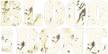 Logo Blood and Bone