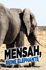 Poster de la película Elephant Queen