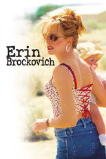 Poster de la película Erin Brockovich