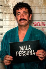 Poster de la película Mala Persona