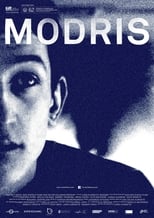 Poster de la película Modris