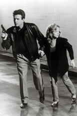 Poster de la película Under Cover