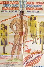 Poster de la película Cómo pescar marido