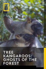 Poster de la película Tree Kangaroos: Ghosts of the Forest