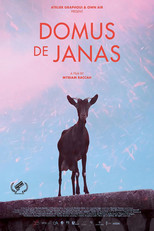 Poster de la película Domus de Janas