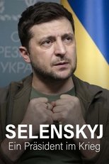 Poster de la película Zelensky - A President At War