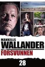 Poster de la película Wallander 28 - Missing