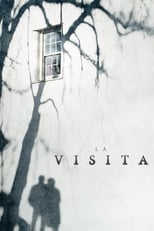 Poster de la película La visita